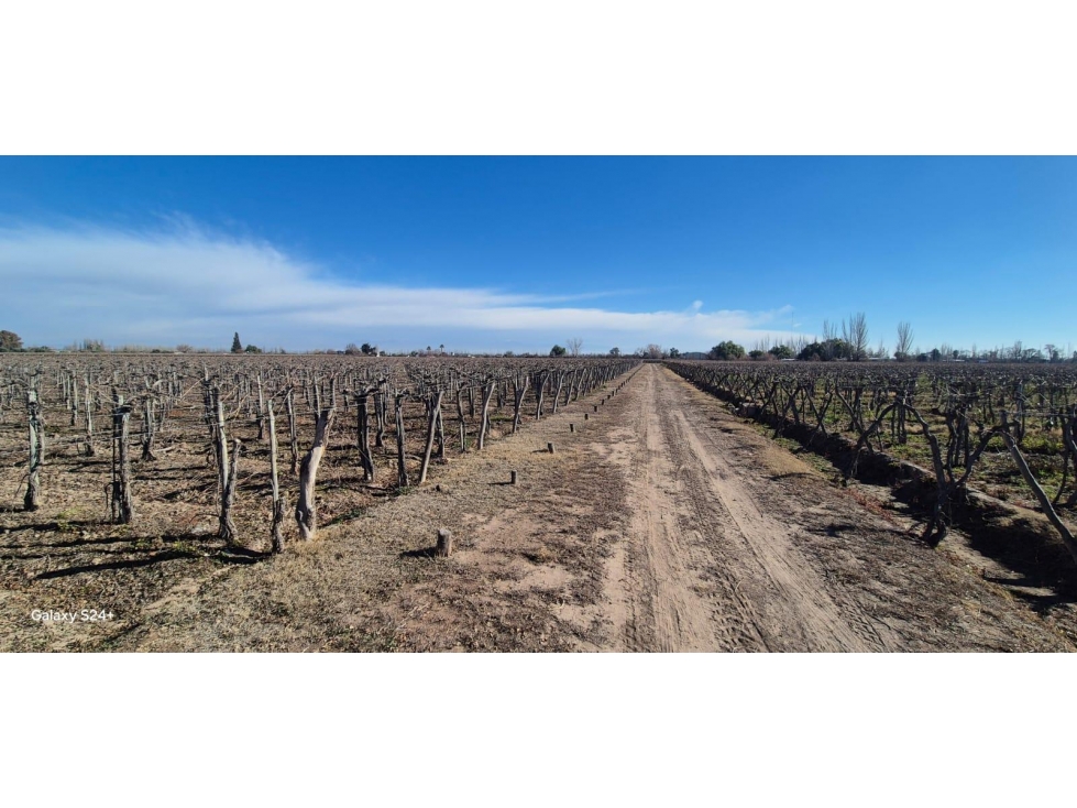 VENTA DE FINCA 180 HAS- SANTA ROSA - 2