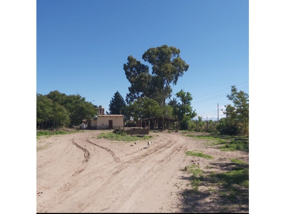 VENTA DE FINCA 13 HAS SOBRE RUTA 40, UGARTECHE - LUJAN DE CUYO - 2