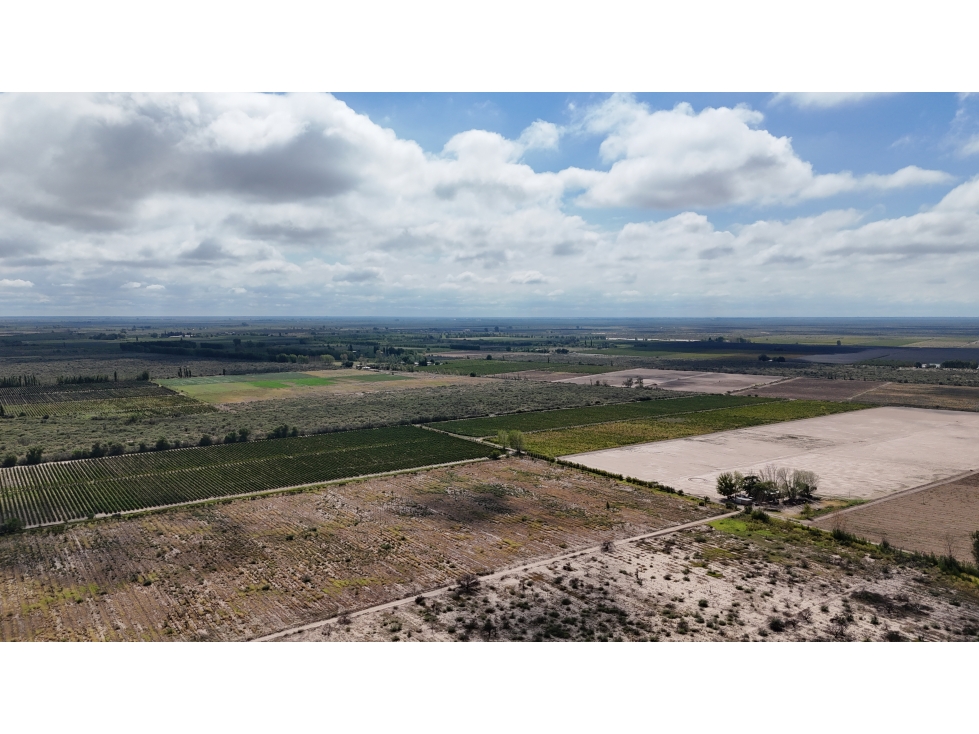 VENTA DE FINCA 40 HAS CALLE LA FLORIDA, EN EL MIRADOR - RIVADAVIA,MZA - 1