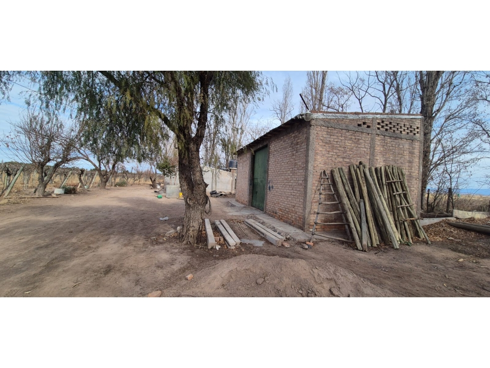VENTA FINCA DE 72 HAS EN ISLA GRANDE, SAN ROQUE MAIPÚ, MZA - 2