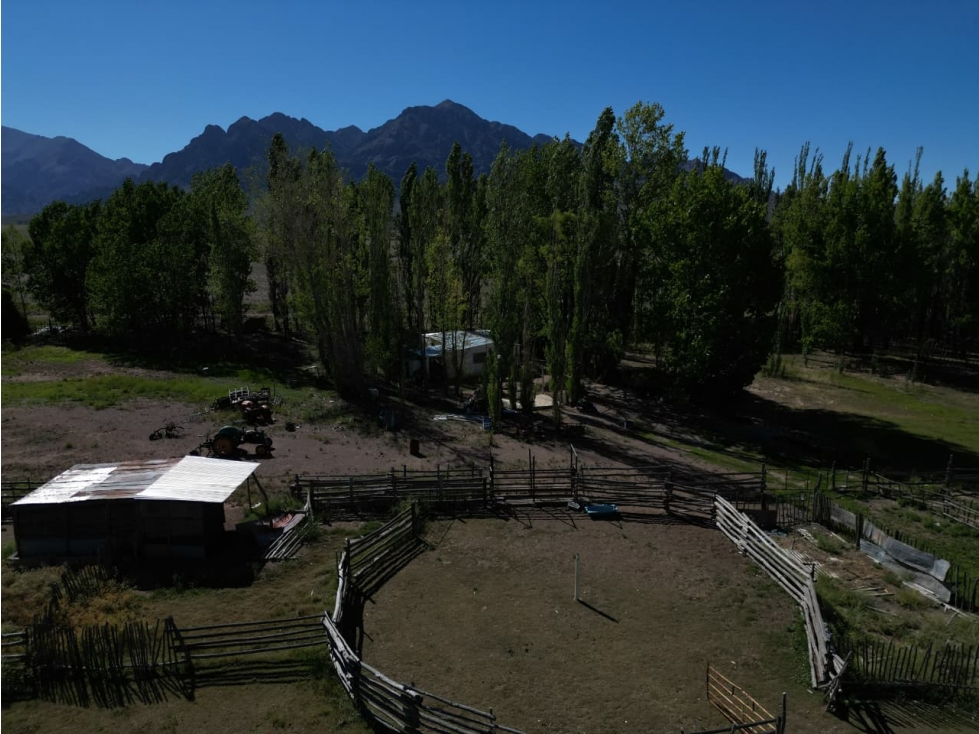 EXCELENTE FINCA DE 19,5 HECTÁREAS SAN ALBERTO, USPALLATA, MENDOZA - 5