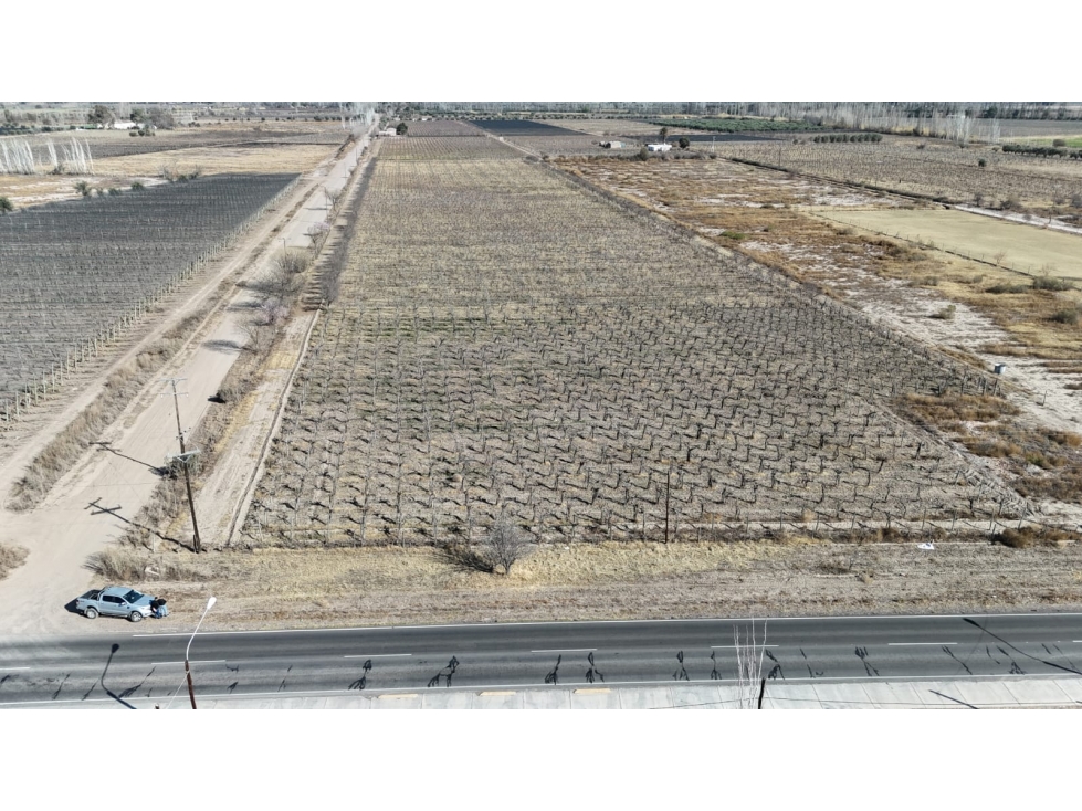 VENTA FINCA 6 HAS EN CARRIL CABALLERO, LOS BARRIALES, JUNIN - 2