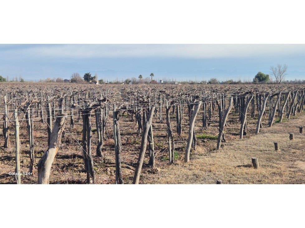 VENTA DE FINCA 180 HAS- SANTA ROSA - 3