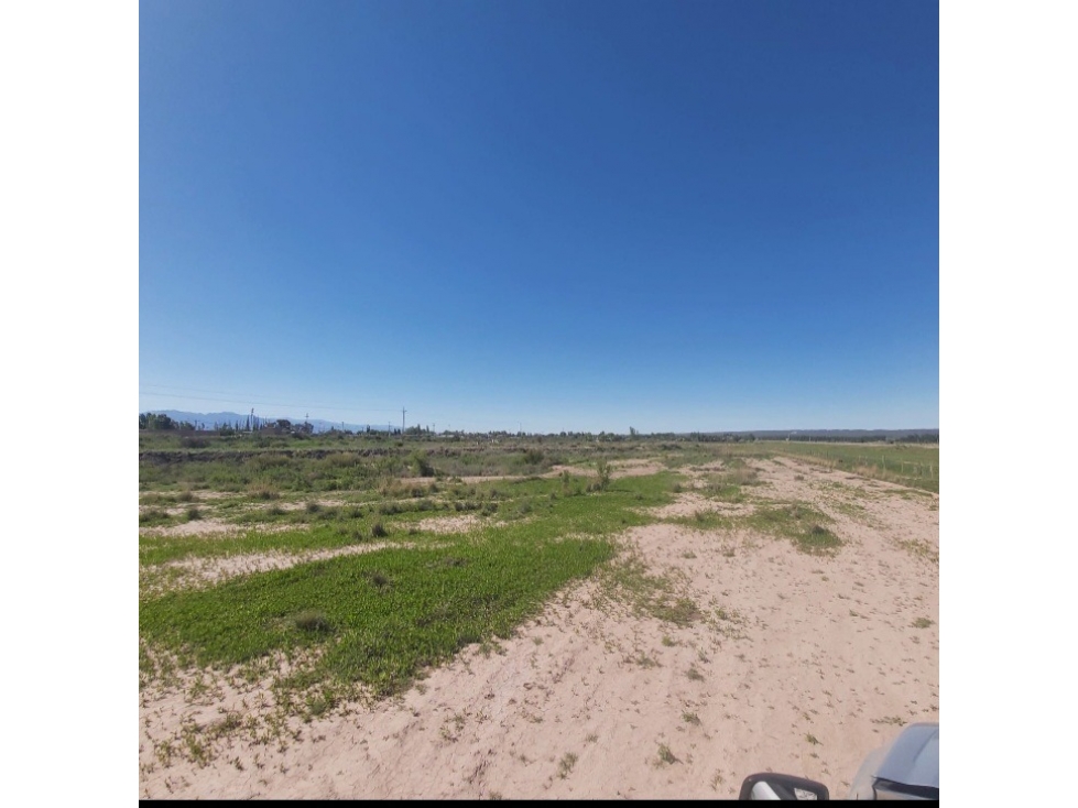 VENTA DE FINCA 13 HAS SOBRE RUTA 40, UGARTECHE - LUJAN DE CUYO - 3