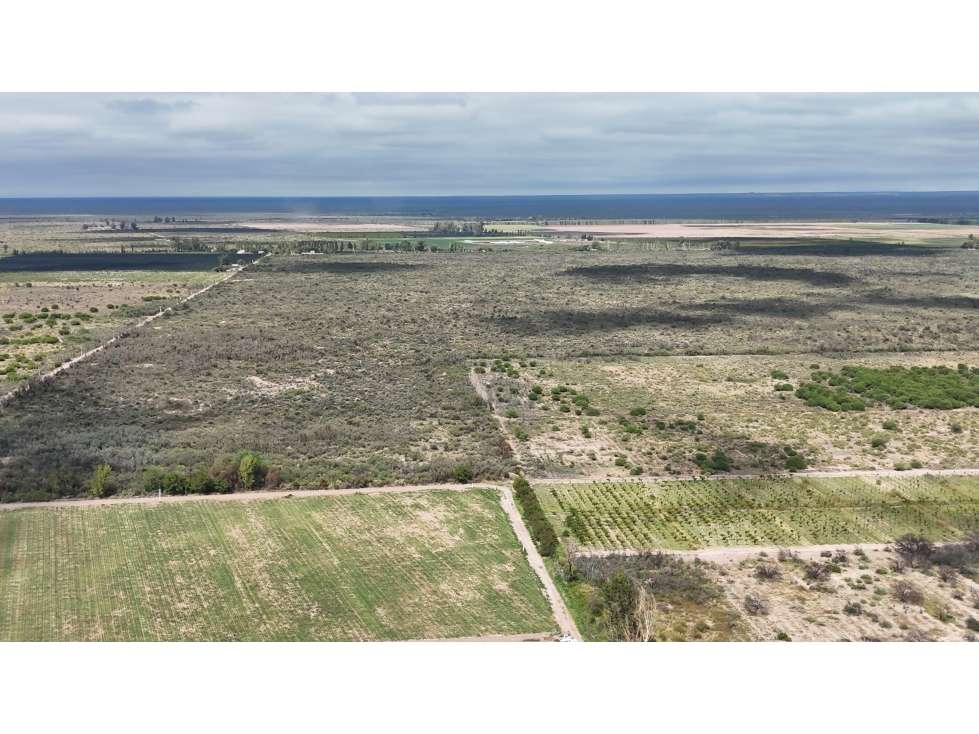 VENTA DE FINCA 40 HAS CALLE LA FLORIDA, EN EL MIRADOR - RIVADAVIA,MZA - 4