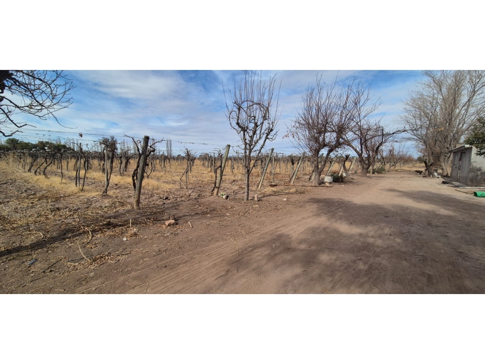 VENTA FINCA DE 72 HAS EN ISLA GRANDE, SAN ROQUE MAIPÚ, MZA - 3