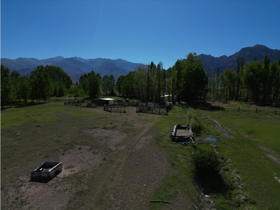 EXCELENTE FINCA DE 19,5 HECTÁREAS SAN ALBERTO, USPALLATA, MENDOZA - 6