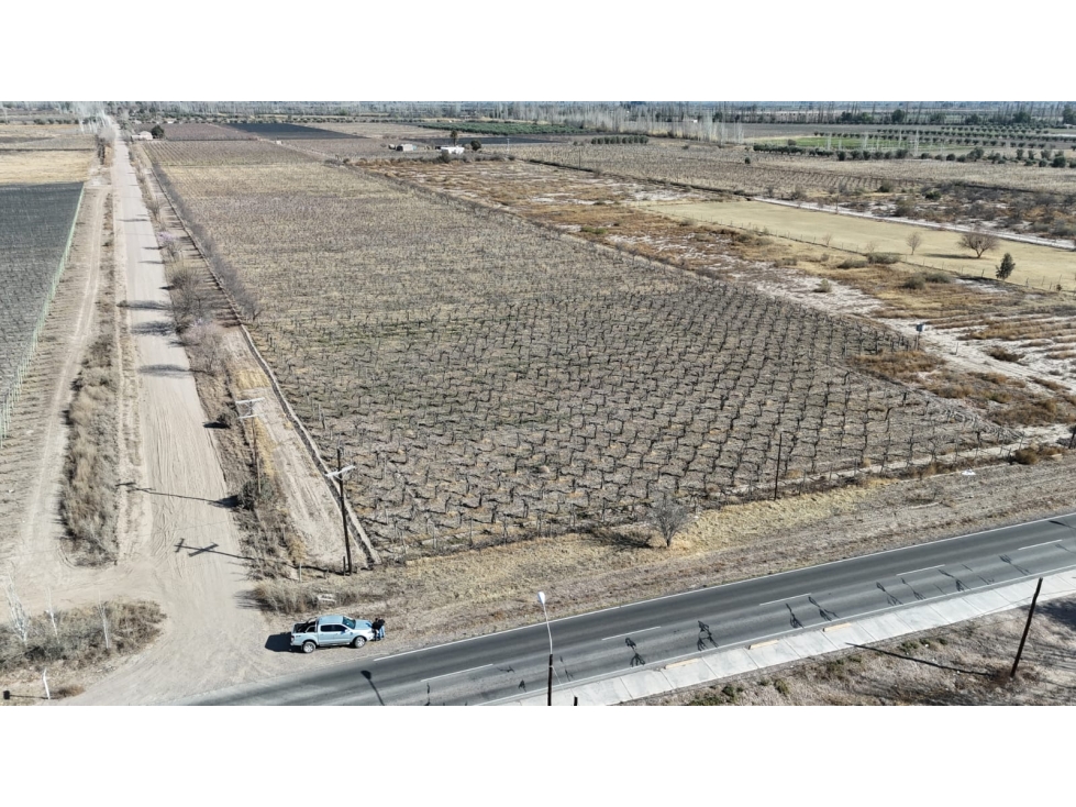 VENTA FINCA 6 HAS EN CARRIL CABALLERO, LOS BARRIALES, JUNIN - 3