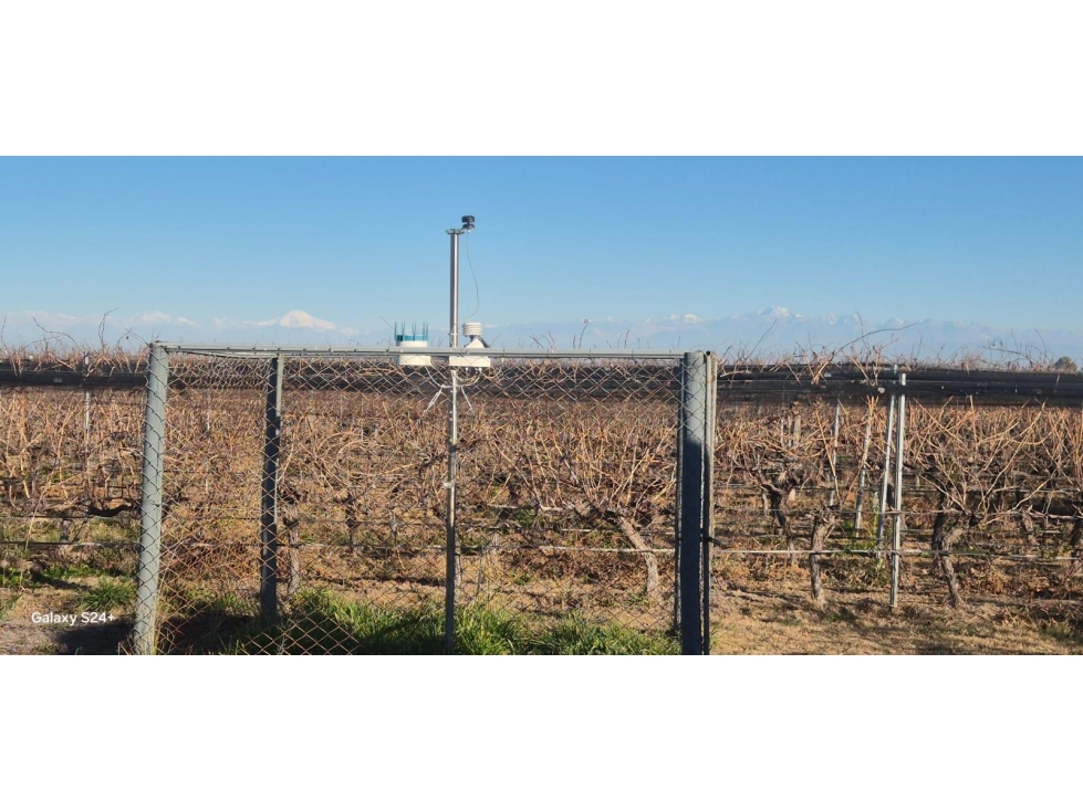 VENTA DE FINCA 180 HAS- SANTA ROSA - 4