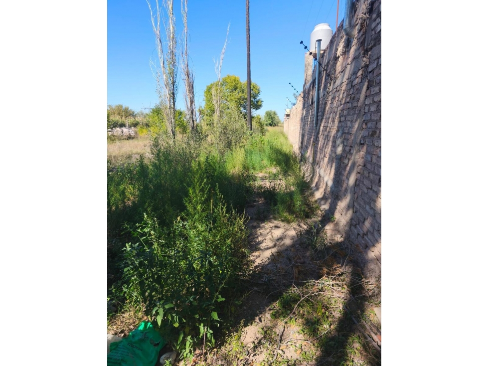 VENTA DE LOTE EXTENSO EN CALLE TROPERO SOSA, COQUIMBITO- MAIPÚ - 2