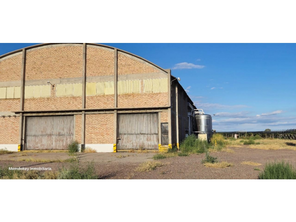 VENTA DE FINCA 176 HAS CON BODEGA - SANTA ROSA, MZA - 4