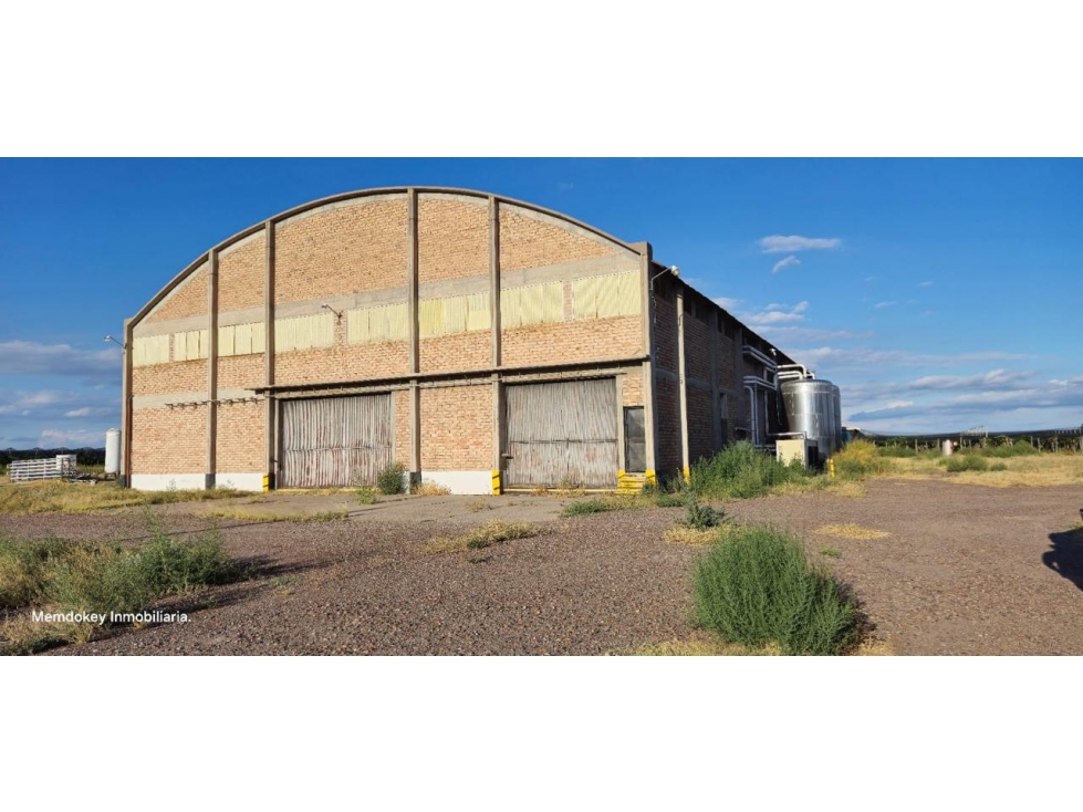 VENTA DE FINCA 176 HAS CON BODEGA - SANTA ROSA, MZA - 2
