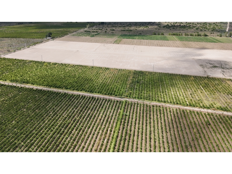 VENTA DE FINCA 40 HAS CALLE LA FLORIDA, EN EL MIRADOR - RIVADAVIA,MZA - 3