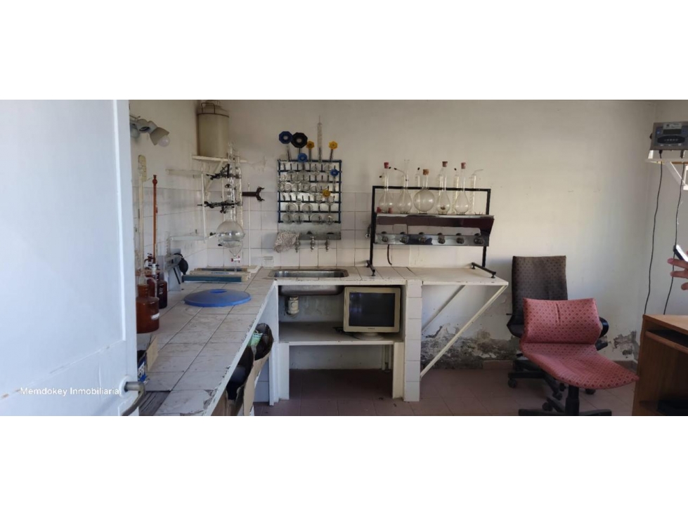 VENTA DE FINCA 20 HAS Y BODEGA - VILLA DIVISADERO, SANTA ROSA, MZA - 6