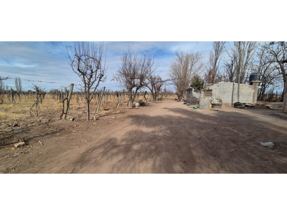 VENTA FINCA DE 72 HAS EN ISLA GRANDE, SAN ROQUE MAIPÚ, MZA - 4