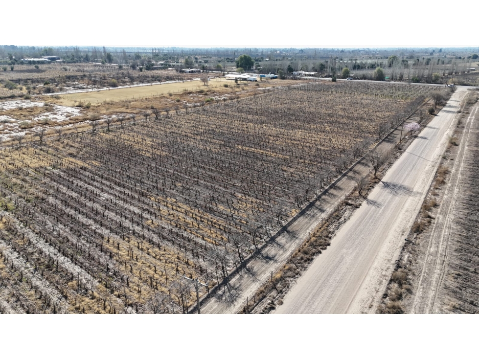 VENTA FINCA 6 HAS EN CARRIL CABALLERO, LOS BARRIALES, JUNIN - 4