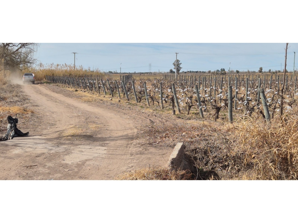 VENTA FINCA DE 72 HAS EN ISLA GRANDE, SAN ROQUE MAIPÚ, MZA - 5