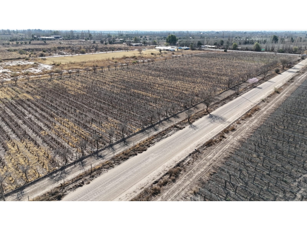 VENTA FINCA 6 HAS EN CARRIL CABALLERO, LOS BARRIALES, JUNIN - 5