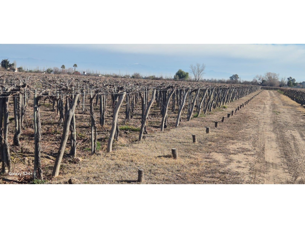 VENTA DE FINCA 180 HAS- SANTA ROSA - 1