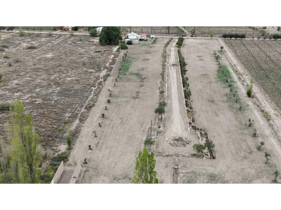 VENTA DE LOTES EN CALLE LA POSTA, JUNIN (CENTRO), MENDOZA - 1