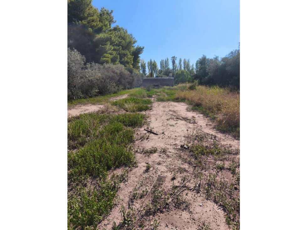VENTA DE LOTE EXTENSO EN CALLE TROPERO SOSA, COQUIMBITO- MAIPÚ - 1
