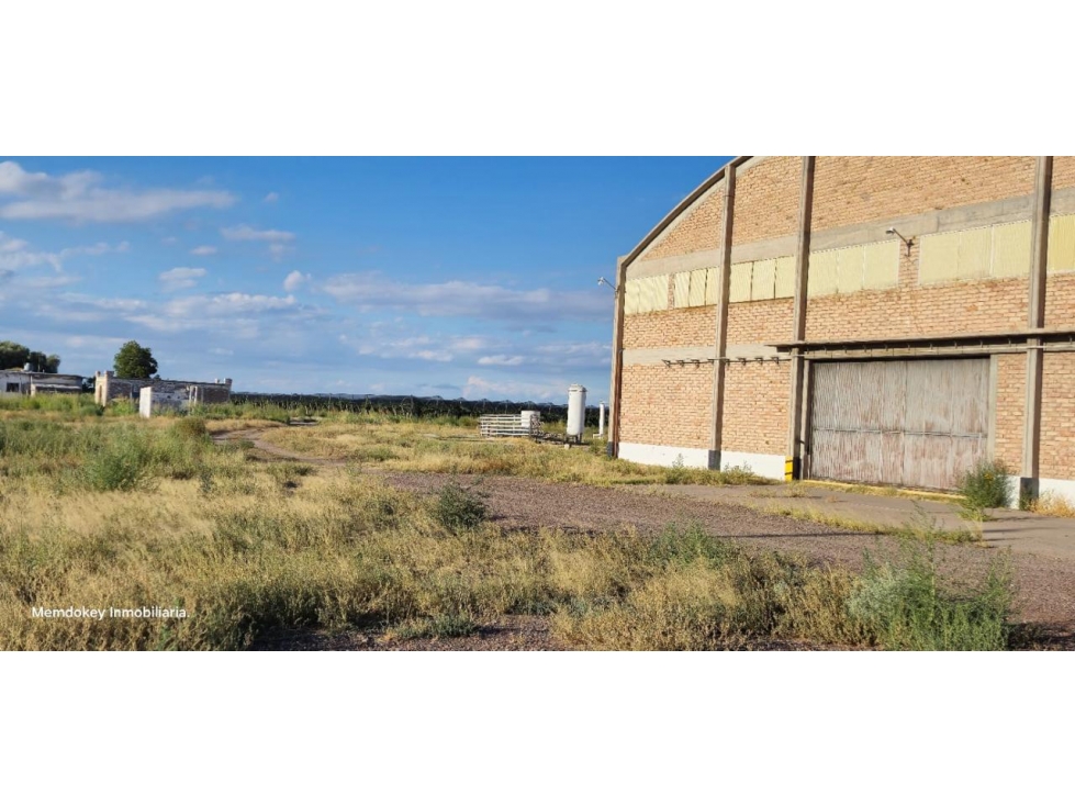 VENTA DE FINCA 176 HAS CON BODEGA - SANTA ROSA, MZA - 5