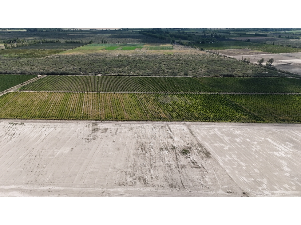 VENTA DE FINCA 40 HAS CALLE LA FLORIDA, EN EL MIRADOR - RIVADAVIA,MZA - 6