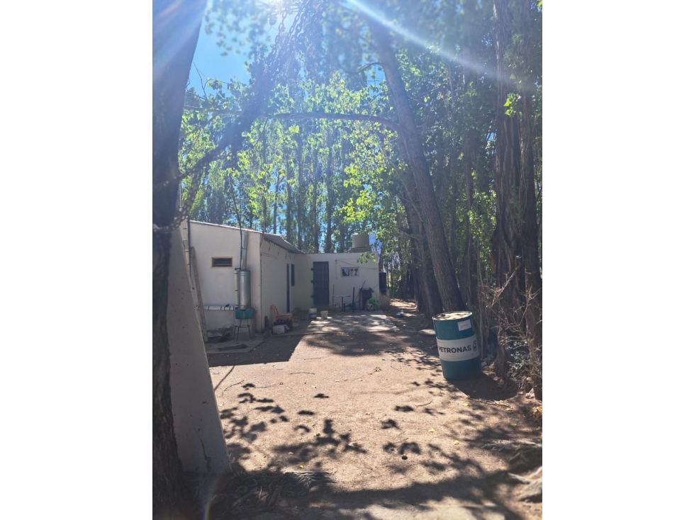 EXCELENTE FINCA DE 19,5 HECTÁREAS SAN ALBERTO, USPALLATA, MENDOZA - 3