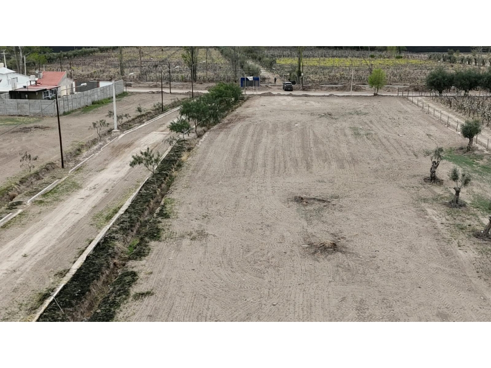 VENTA DE LOTES EN CALLE LA POSTA, JUNIN (CENTRO), MENDOZA - 3