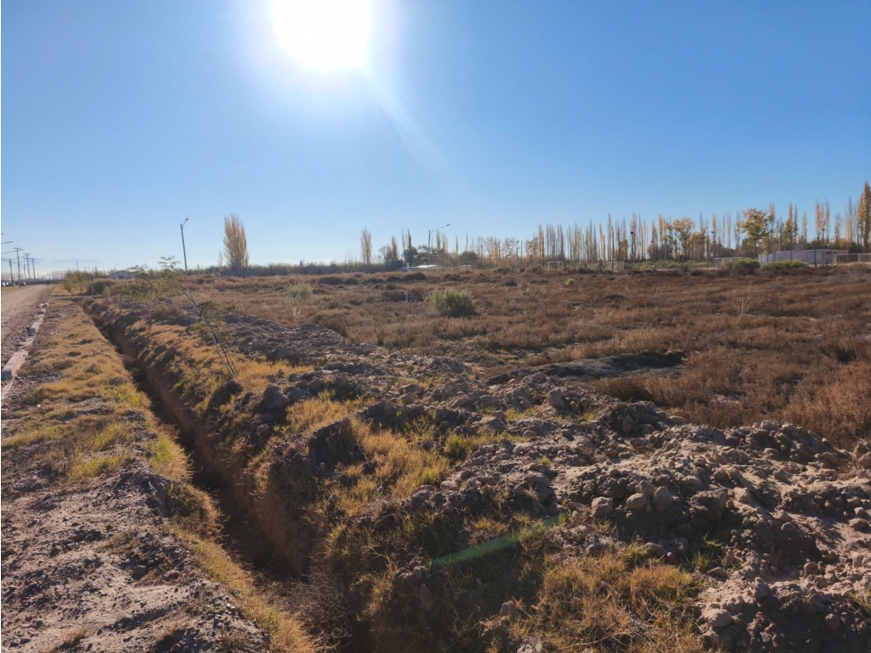VENTA DE EXCELENTES LOTES EN B° "EL MIRADOR DEL SUR", RIVADAVIA- MZA - 5