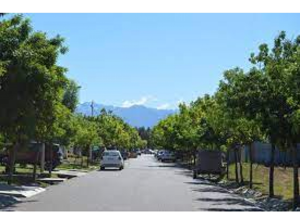Lote - 3