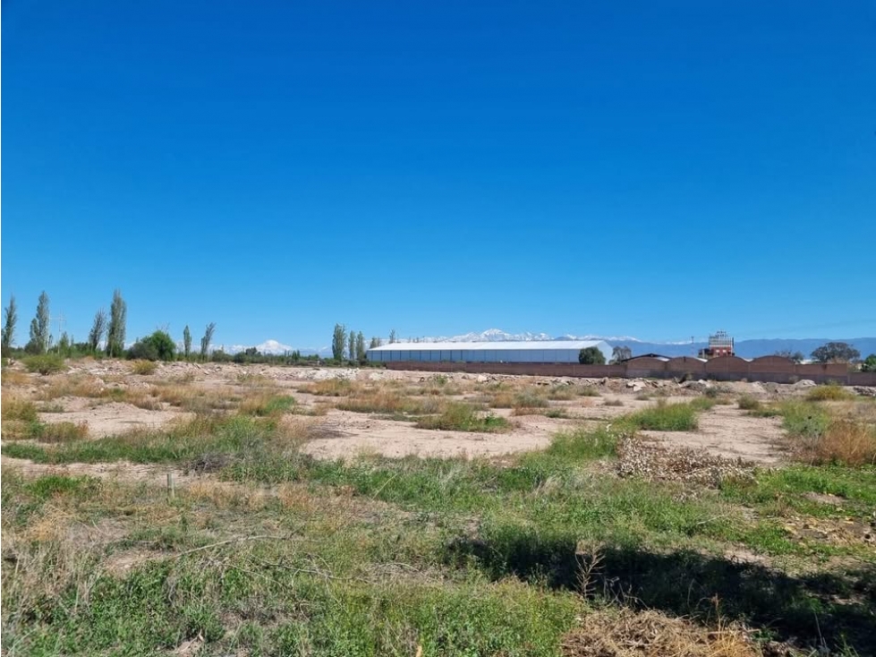 TERRENO INDUSTRIAL - 3