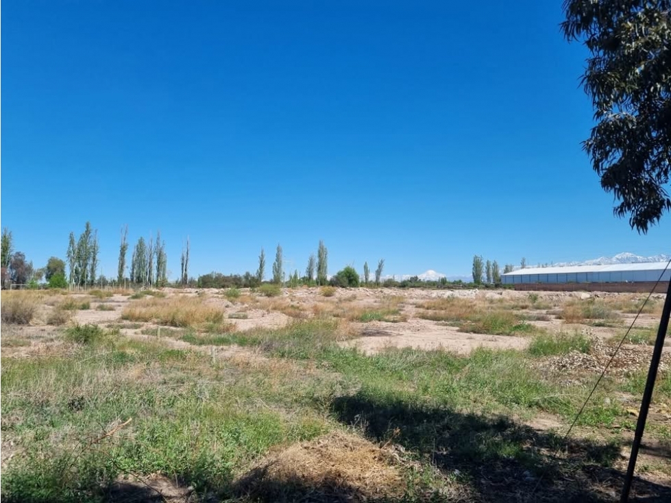 TERRENO INDUSTRIAL - 5