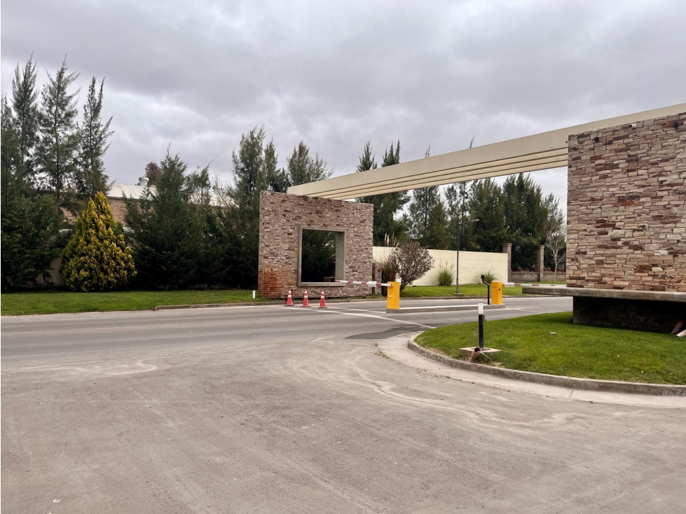 PROYECTO CORTADERAS III - 2