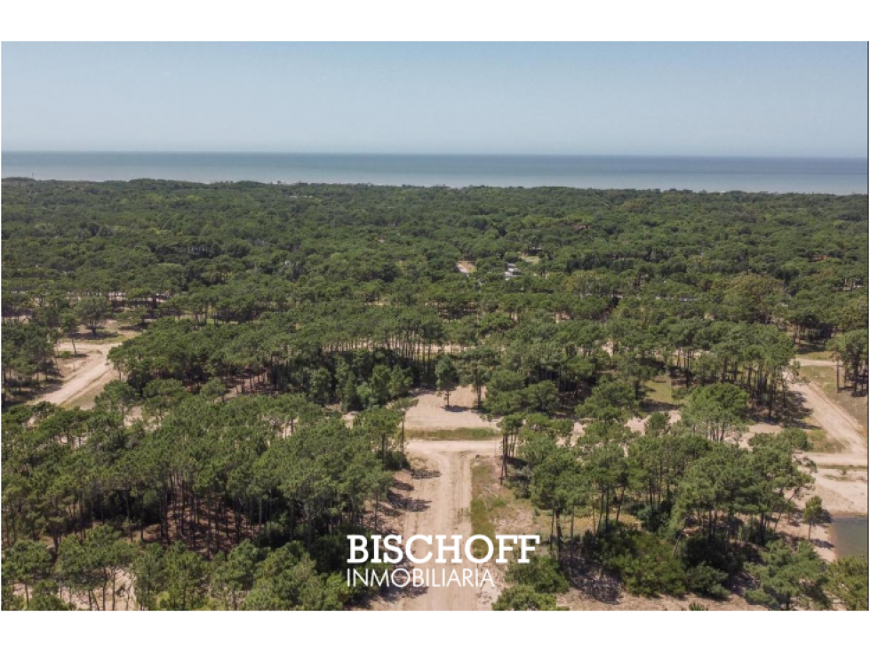 VENTA LOTE EN BARRIO BOSQUES CORTADERAS - 3