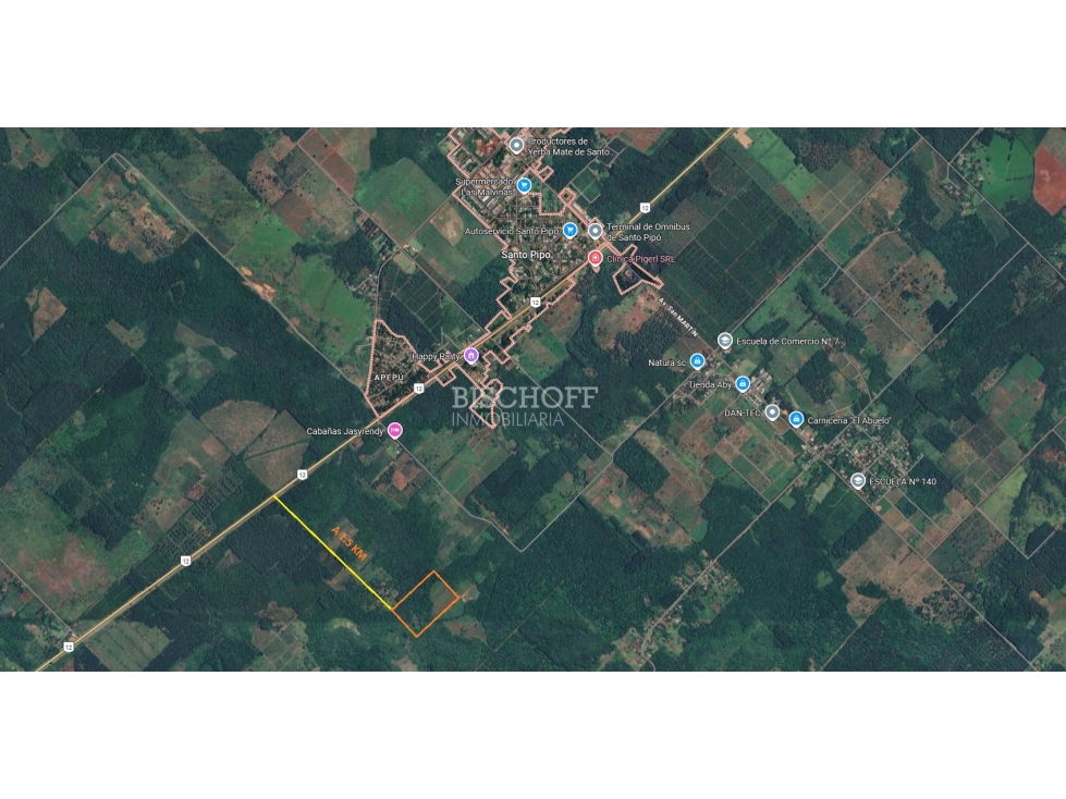CHACRA EN VENTA EN SANTO PIPÓ, MISIONES - 1