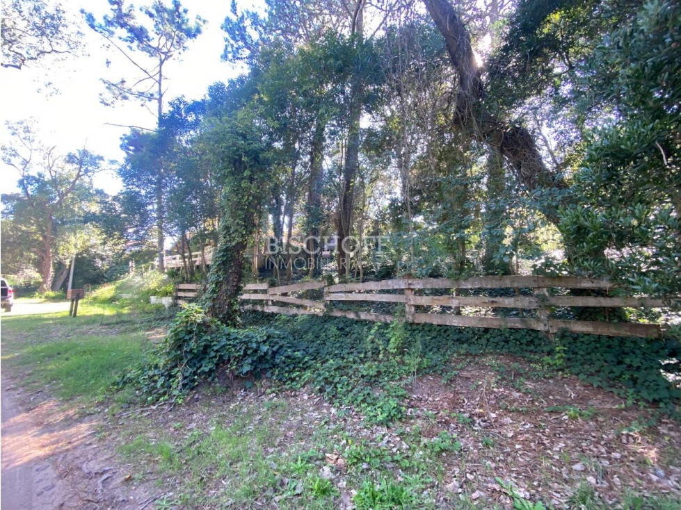 TERRENO EN VENTA, BARRIO NORTE, VILLA GESELL - 3
