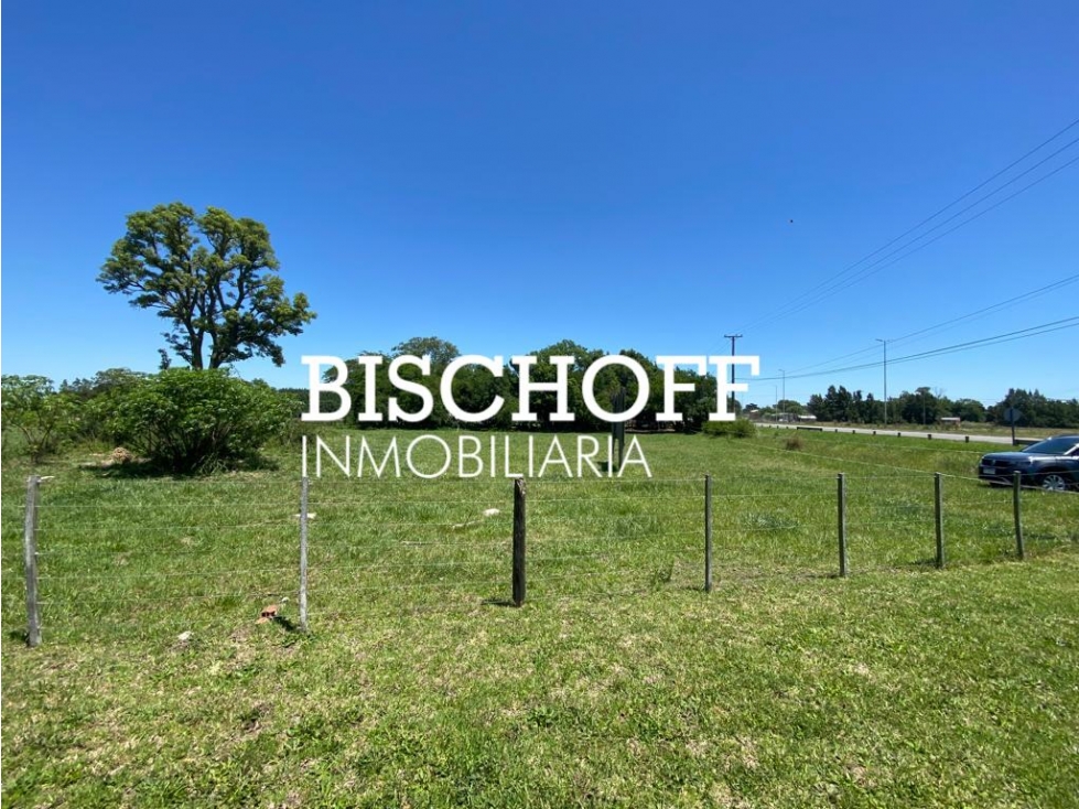 VENTA DE CHACRA EN GENERAL MADARIAGA - 6