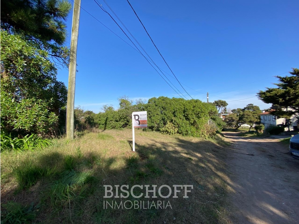 Venta de Lote en Ostende calle Moreno - 4