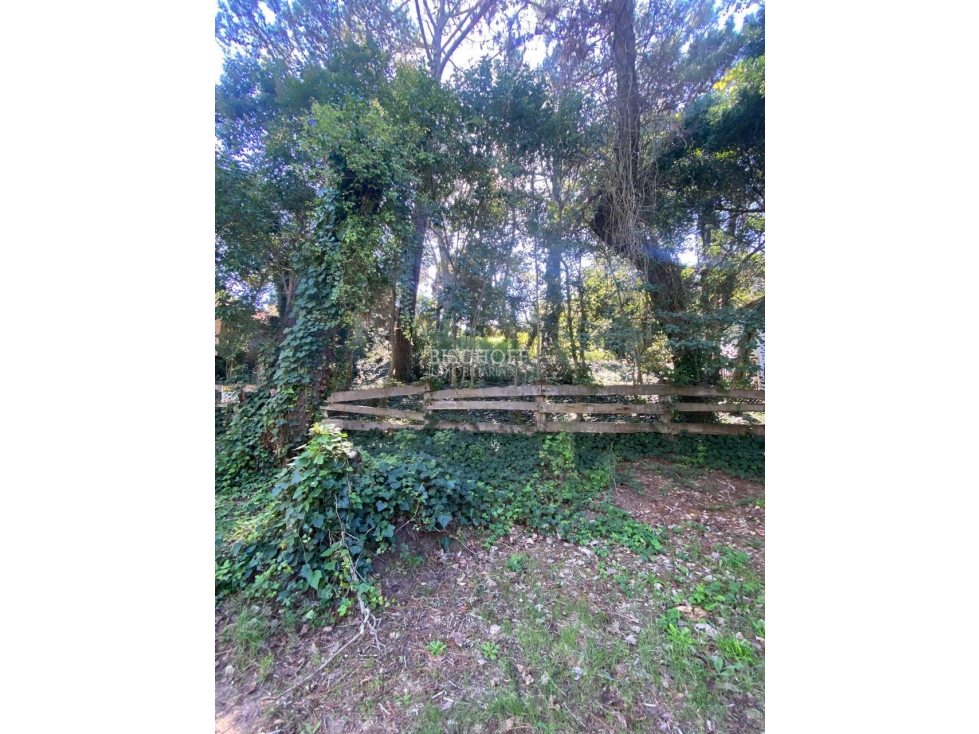 TERRENO EN VENTA, BARRIO NORTE, VILLA GESELL - 2