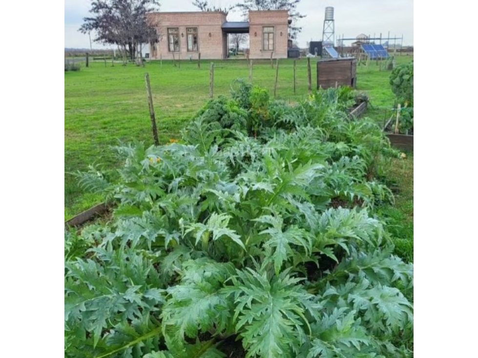 EXCELENTES LOTES EN VENTA. UBICADO EN SAN VICENTE - 4