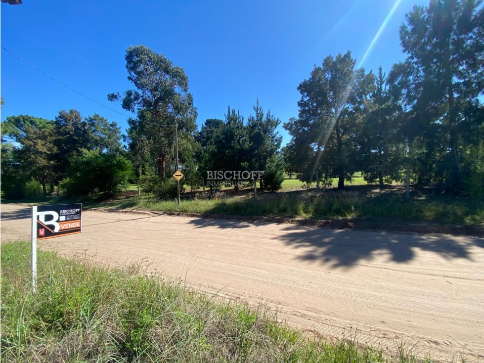 TERRENO EN VENTA. ESQUINA, FRENTE AL GOLF DE VILLA GESELL - 4
