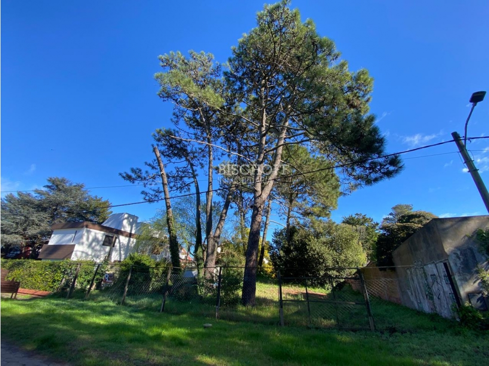 EXCELENTE TERRENO, ZONA CENTRO - 1