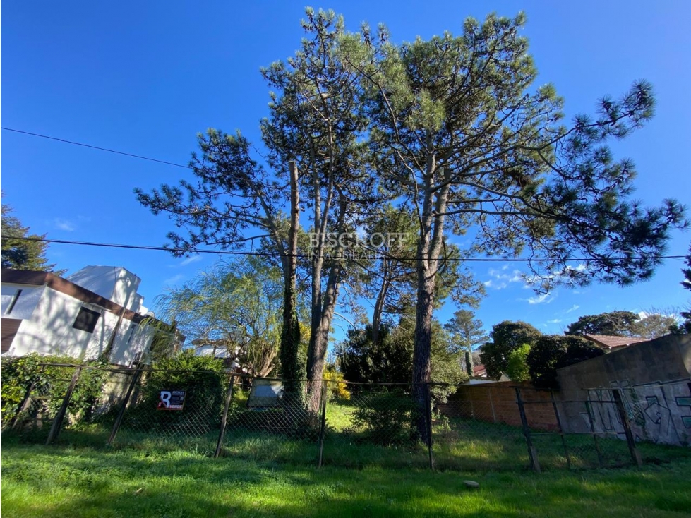 EXCELENTE TERRENO, ZONA CENTRO - 2