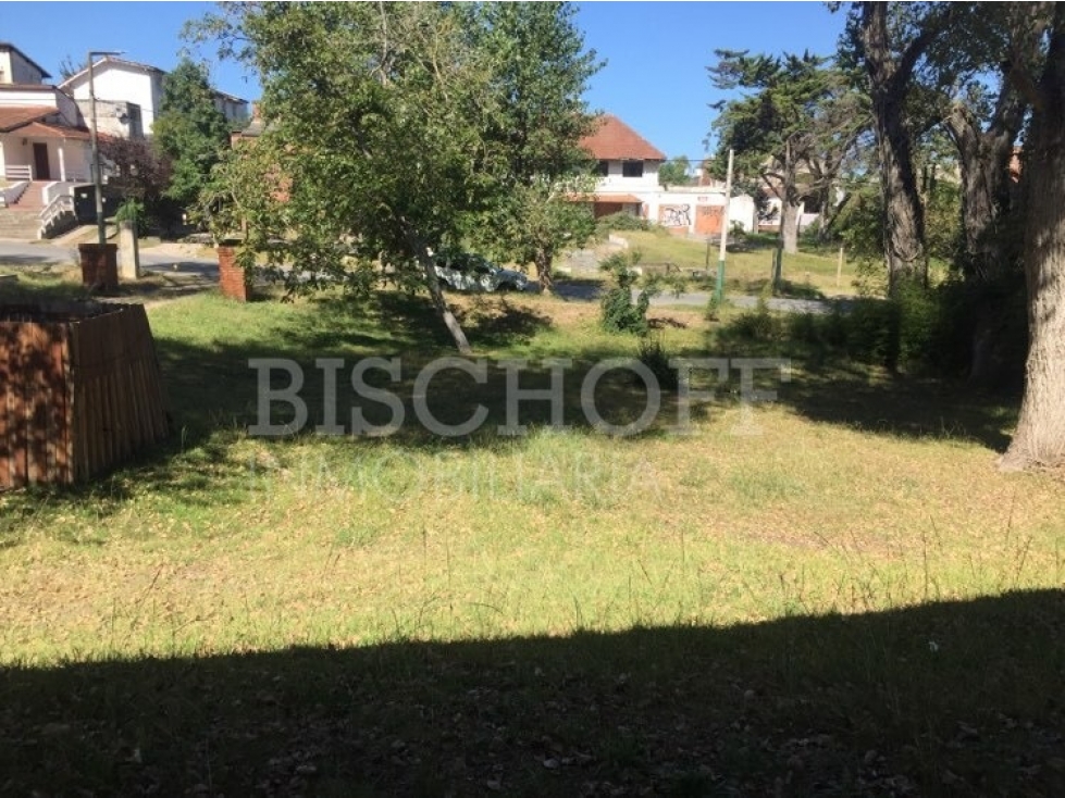 VENTA EN BLOCK DE DOS TERRENOS MULTIFAMILIAR, IDEAL EMPRENDIMIENTO - 2