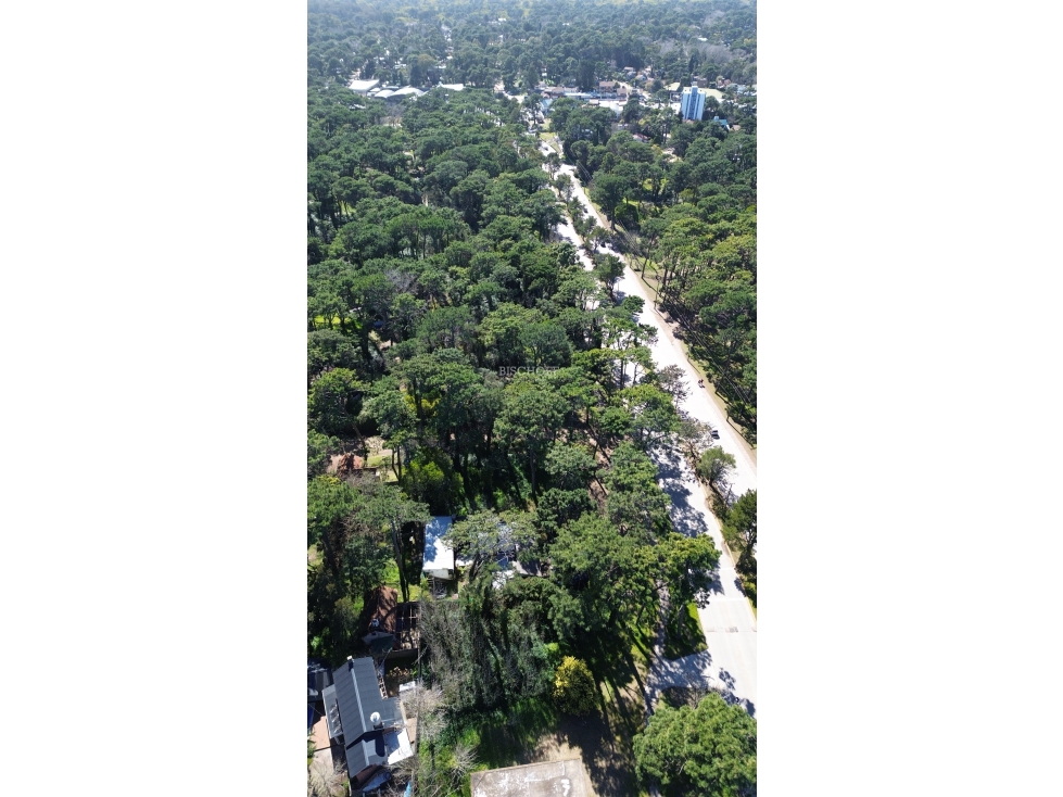 EXCELENTE TERRENO SOBRE BOULEVARD, VILLA GESELL - 2