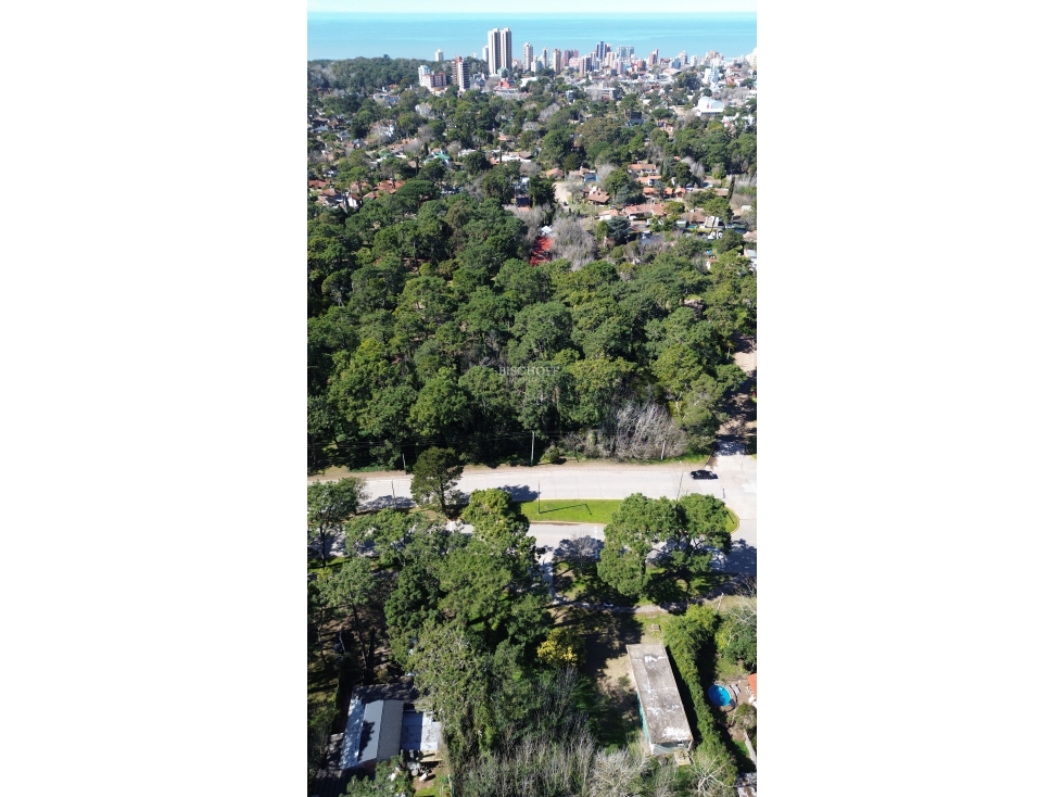 EXCELENTE TERRENO SOBRE BOULEVARD, VILLA GESELL - 3