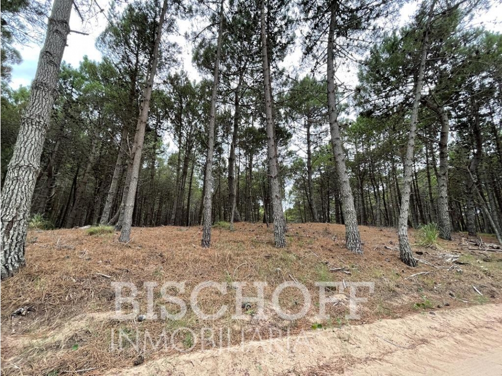 VENTA DE LOTE EN VILLA ROBLES BARRIO ALBATROS - 4