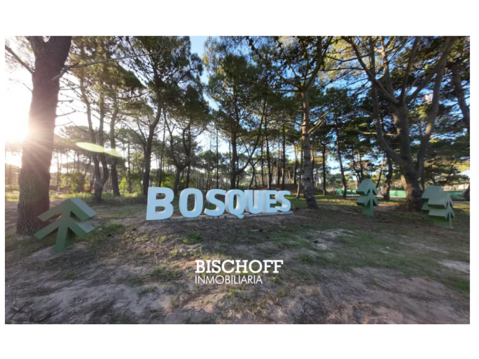 VENTA DE LOTE EN BARRIO BOSQUES TAMARISCO - 1