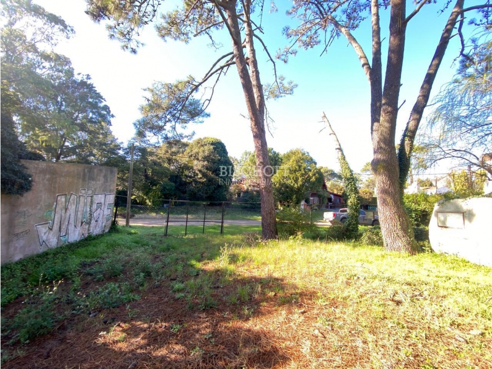EXCELENTE TERRENO, ZONA CENTRO - 6